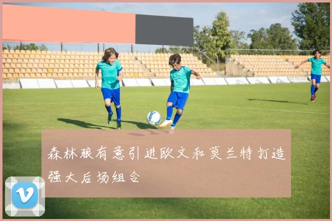 森林狼有意引进欧文和莫兰特打造强大后场组合